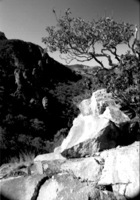 Big_Bend