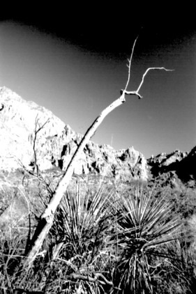 Big_Bend4