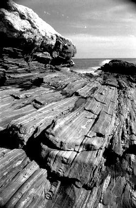 Edge of Maine