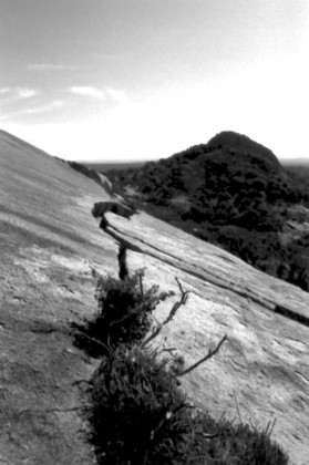 Enchanted_Rock14