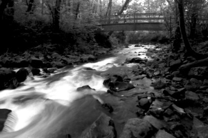 Kentucky_Creek_Bridge