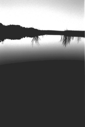 Twilight