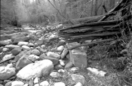 Creek_Bed
