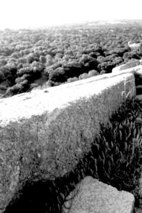 Enchanted_Rock5